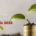 Incentivi Smart&Start Italia 2025